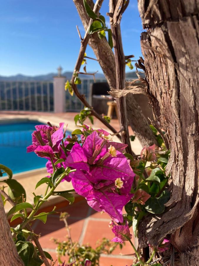 Bed and Breakfast Casa La Quinta Риогордо Экстерьер фото